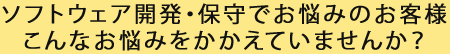 ソフトウェア開発・保守でお悩みのお客さま こんなお悩みをかかえていませんか?