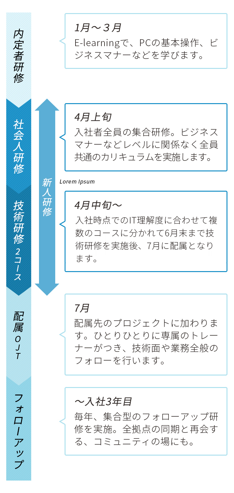 新入社員研修の流れ